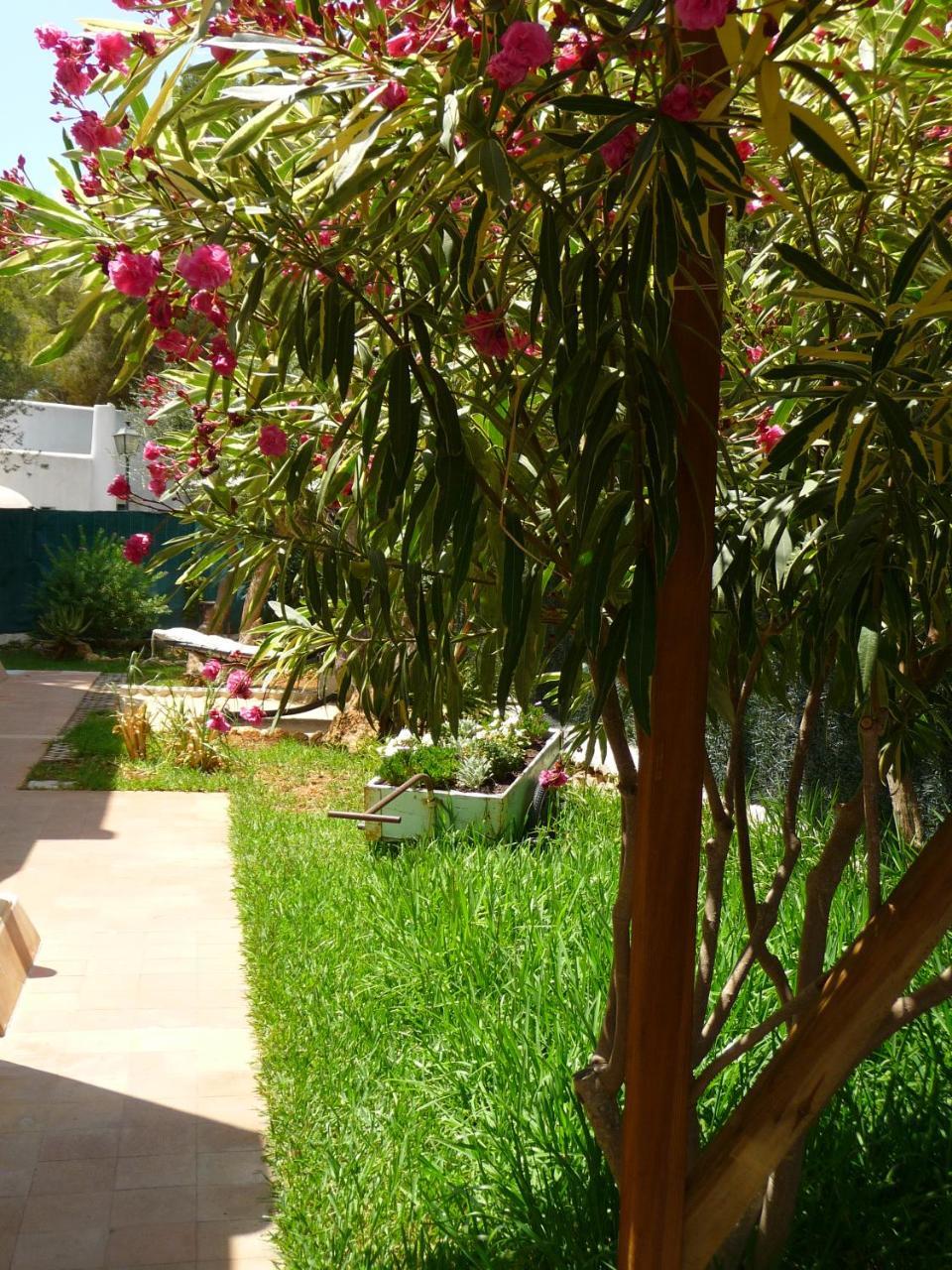 Apartamentos Osa Menor Cala D´Or Esterno foto
